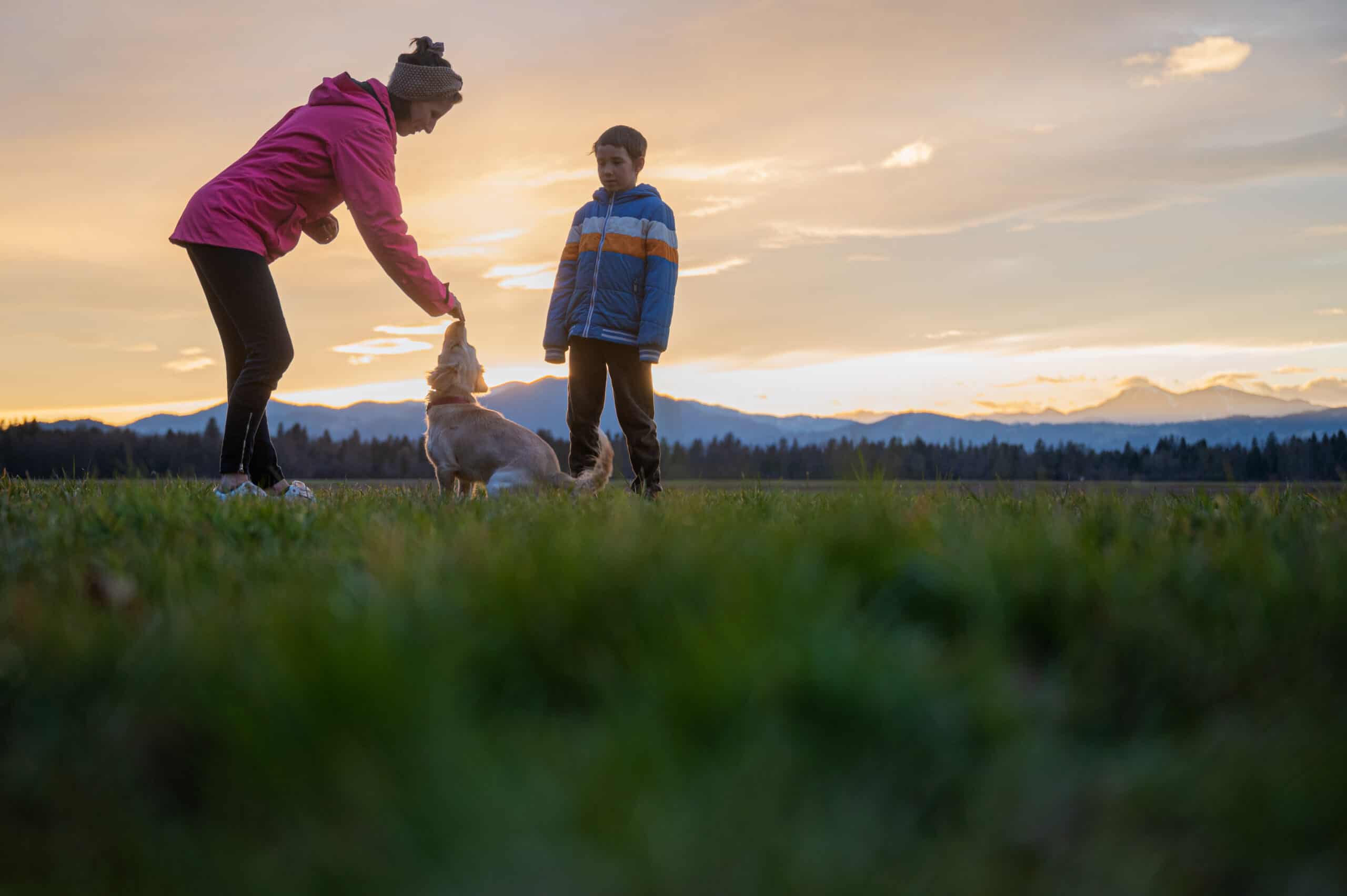 Young woman obedience training her cute small dog