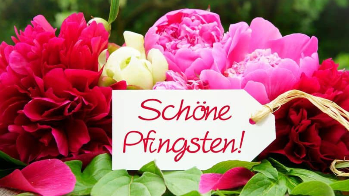 Schöne Pfingsten! , Pfingstgrüsse mit Pfingstrosen