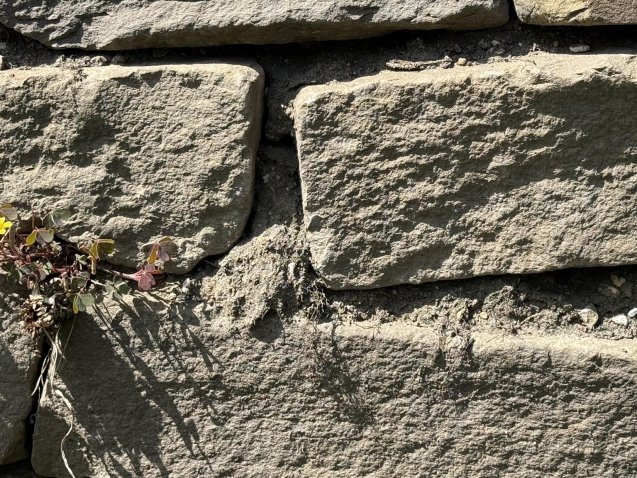 495375850_988580766814632_5085401458468015882_n